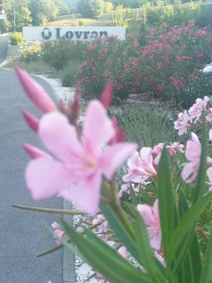 Apartment With Direct Sea View, Free Parking And Close To Beaches And Promenade Lovran Exteriör bild