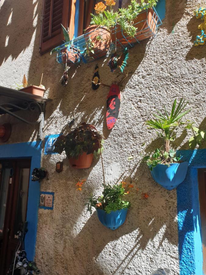 Apartment With Direct Sea View, Free Parking And Close To Beaches And Promenade Lovran Exteriör bild